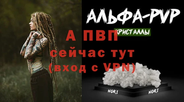 дживик Киренск