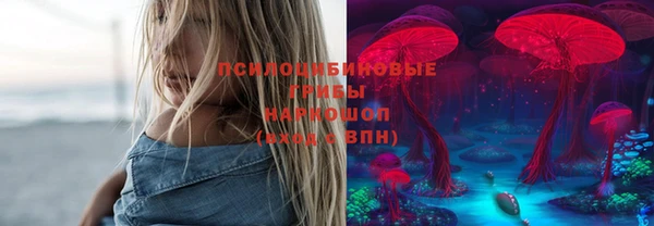 дживик Киренск