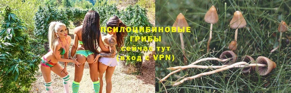 MESCALINE Кинешма